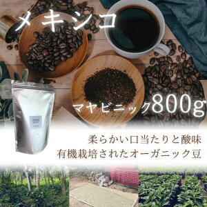 R[q[ hbvR[q[ R[q[ 蓤 L@͔| I[KjbN LVR 800g 80t I[KjbNR[q[  ܂Ƃߔ