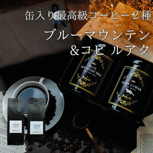 R[q[ hbvR[q[ 蓤 2 Mtg v[g  u[}EeNo.1 100g Rs AN80g  ʓ