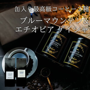 R[q[ hbvR[q[ R[q[Mtg 蓤 2 Mtg v[g  u[}Ee G`IsA QCV  ʓ