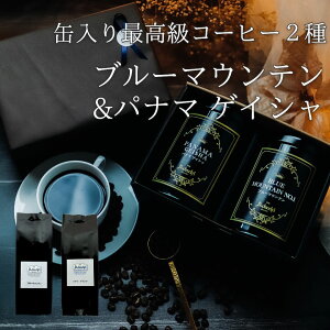 R[q[ hbvR[q[ Mtg v[g  2  lߍ킹 u[}Ee pi} QCV e100g 10t  ʓ