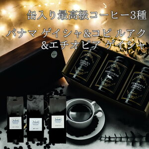 R[q[ hbvR[q[ R[q[ Mtg v[g  3 pi} QCV 100g G`IsA QCV 100g Rs AN 80g ʓ