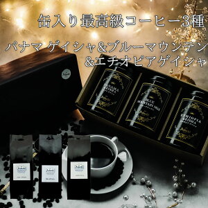 R[q[ hbvR[q[ Mtg v[g  3 lߍ킹 pi} QCV G`IsA QCV u} e100g 10t  ʓ