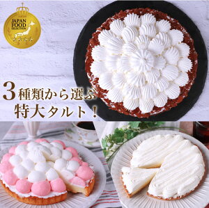 NX}X Mtg  ^g   t[hZNV ^g JtFR v[g Ⓚ XC[c َq a v[g i j j җj P[L 킢