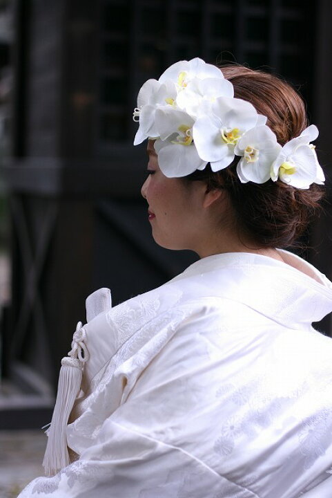 楽天市場 胡蝶蘭 髪飾り 白 結婚式 ミニサイズ 3サイズ 胡蝶蘭 白無垢 和装 成人式 ウェディングドレス に清楚に花を添える上品でオシャレなヘッドドレス 宅急便の方はケース付 一本単位 Poulpesympa