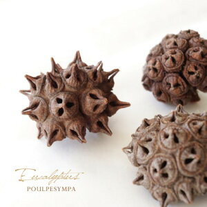 XpC_[Ky[J̈z@hCt[@؂̎@[J̎@CeA@VRf