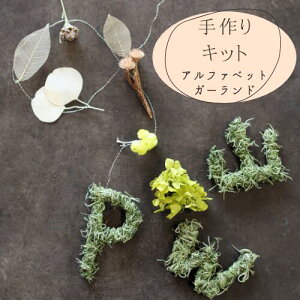 Lbg hCt[ At@xbg̃r[ VRf XƃhCt[ Lbg SOK i`CeAaɁyHLbgzyqlzyq