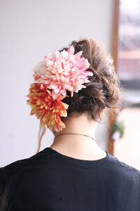 l̔ _A̔yԌnzyP[Xtz@Ƒǂa a  tH[} hX RT[W  l p[eB[