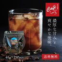 ＼ポイント5倍〜／ 水出し アイスコーヒー 珈琲パック 40g×25袋 125杯分 約20L│業務用 大容量 自家焙煎 深煎り 無添加 コールドブリュー 水だし珈琲 アイス珈琲 喫茶店 カフェ 人気 夏ギフト 簡単 本格 送料無料