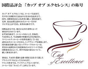 【送料無料】2022年3月特選セット200g×4種類珈琲豆コーヒー豆