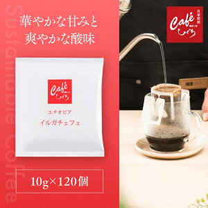 _|Cg10{^ hbvR[q[ G`IsA CK`FtF G1 y1t10gz  R[q[  nhhbv XyVeBR[q[ hbvobO hbvpb