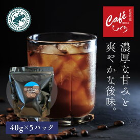 ＼ポイント15倍／アイスコーヒー 水出しコーヒー パック コールドブリュー 5袋 4L分【40g×5パック】自家焙煎珈琲 水だしコーヒー 水出しアイスコーヒー 深煎り 無添加 ブラジル マンデリン 喫茶店 カフェ レインフォレストアライアンス認証