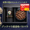 全商品ポイント10倍！ ＼今だけ30％OFF／ 【コーヒーギフト】グァテマラ エル・インヘルト農園 パカマラ 中煎り 80g×2（160g）｜果実感あふれる高級スペシャルティコーヒー豆 ノンオークション内祝 プレゼント 自家焙煎 希少品種 高級 スペシャルティ 御祝