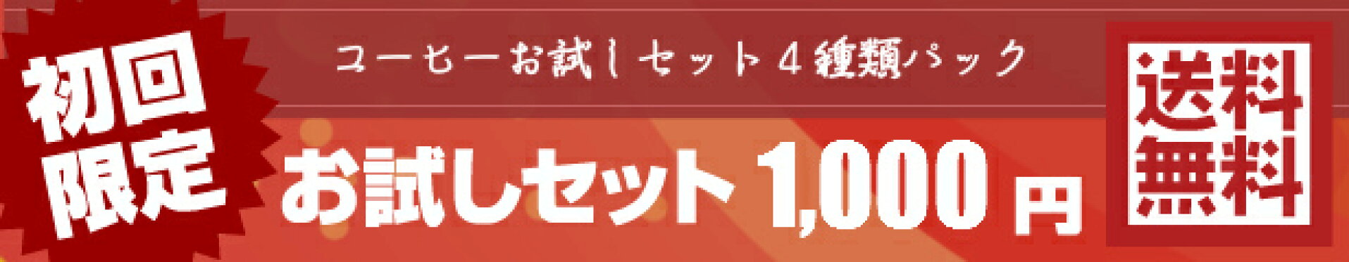 送料無料お試しセット