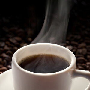 jJOA_@T`FX_@yobn@R[q[@O[vz@R[q[܂蓾ӂłȂł__R[q[___100g_Y_jJOA_Yn_Čn_Xg[gR[q[_