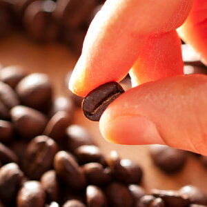 zWX_yobn@R[q[@O[vz_AJ^CṽR[q[DȐl̃R[q[__100g_Y_zWX_Yn_Čn_Xg[gR[q[__