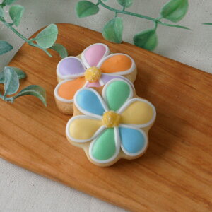 P[LfR[Vp yP[LfRpԁzSTCY1ACVONbL[ a  t[ o[Xf[ P[L 킢 َq  P[L v`Mtg NbL[ M