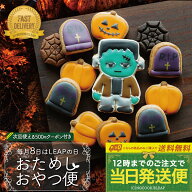 毎月8日数量限定発売【送料無料・当日発送便：おためしおやつ便】〈12枚入〉 アイシングクッキー 詰め合…