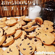 全国どこでも送料無料！厳選人気フレーバー！おから100%クッキー 限定フレーバー 300g人気チョコチップ味…