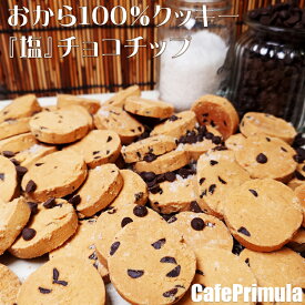 全国どこでも送料無料！厳選人気フレーバー！おから100%クッキー 限定フレーバー 300g人気チョコチップ味！5月21日より順次発送します。2026年度『塩』チョコチップ販売開始！