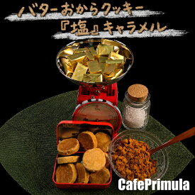 至福のご褒美 ダイエットクッキーバター おからクッキー 限定フレーバー(300g)国産大豆使用 個包装 送料無料！※9月11日より順次発送！