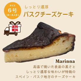 【送料無料】絶品！スペイン生まれのバスクチーズケーキ