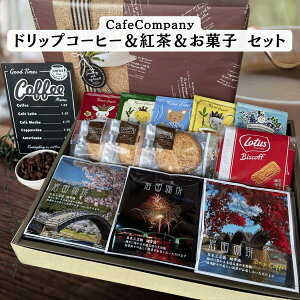 Ε ~Mtg  hbvpbNR[q[ 15P g5P [^XrXPbg6P I[g~[NbL[3 Mtg a v[g  ސE j j LO 䋟  J`y