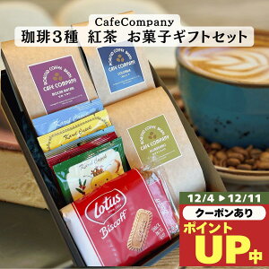 Ε Mtg  XyVeB R[q[ 3 g 5P NbL[ Zbg a v[g j  j Ԃ vw  j e e y   