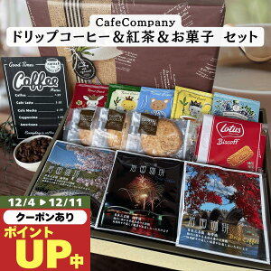 Ε ~Mtg  hbvpbNR[q[ 15P g 5P rXPbg6P NbL[ 3 Mtg a v[g j ސEj  oYj j @ TԂ Cj JtFJ