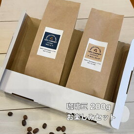 送料無料 コーヒー豆 お楽しみセット 200g （100g×2袋）自家焙煎 珈琲 おうち時間 おうちカフェ