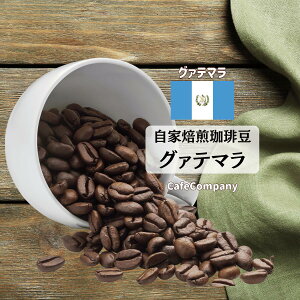 R[q[ O@e} AeBOA  蓤 R[q[ X JtFJpj[ M[  i O lC  ̂܂ Ke} 100g 200g 500g