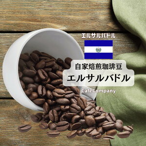 R[q[ GToh 蓤 XyVeB R[q[ JtFJpj[ O lC  炩   R[q[ 100g 200g 500g