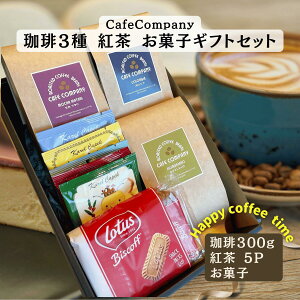 Ε NX}X Mtg  XyVeB R[q[ 3 g5P NbL[ Zbg a v[g j  j Ԃ vw  j e e y  JtFJ