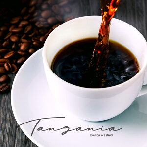 new ^UjA CGK EHbVh nC[Xg  2025N10  JȃnhsbN Tanzania Iyenga washed