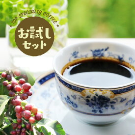 送料無料 クレエで人気のグァテマラが入った コーヒーセット 3銘柄 お試し 飲み比べ 100g×3 小分け商品 発送日焙煎 ハンドピック済み 珈琲豆 お試しセット コーヒー豆 コーヒー専門店