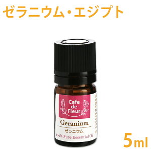 100%VR [jE GWvg 5ml y [Y[jE [j[  sA GbZVIC A}IC [Y Ό RX A}es[ t[ zy|