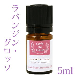 100%VR oW Ob\ 5ml y oWOb\ x_[  GbZVIC A}IC tXY JtFEhEt[ Ό RX A}es[ 