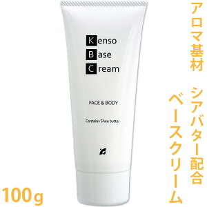 yP\[ VAo^[ qA_zz x[XN[ 100g mKENSO VAo^[ qA_  nhN[n y  A}es[ vi w P\[z