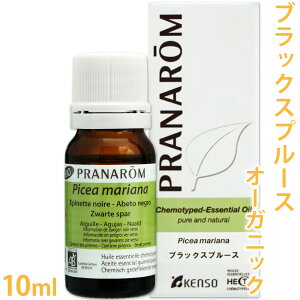 vi ubNXv[X 10ml m XvEX NgEq I[KjbN n y  GbZVIC L@ Y VR A}IC A}es[ PRANAROM w P\[ z