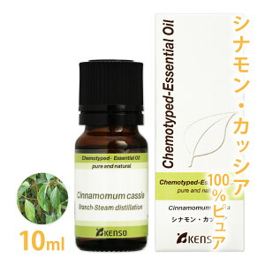 ViEJbVA 10ml yviA wɁz[JbVAo[Ng[ j `Cj[YVi j JVA 100sA] y GbZVIC XpCX VR Y 