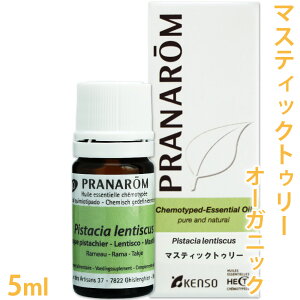 �v���i���� �}�X�e�B�b�N�g�D���[ 5ml �m �I�[�K�j�b�N �n �y ���� �G�b�Z���V�����I�C�� �A���}�I�C�� �A���}�e���s�[ ������w�� �P���\�[ �z�y �������� �z