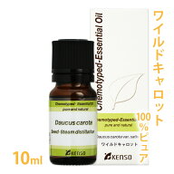 ワイルドキャロット 10ml ［ キャロットシード ］ 【 プラナロム輸入元 健草医学舎 】 【 精油 エッセン…