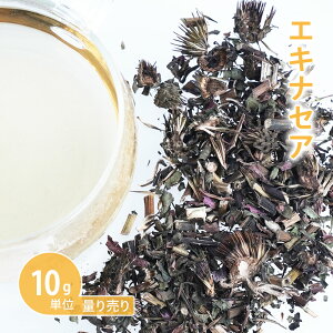 GLiZA [ 10gP n[uʂ蔄 ]@iTLoMN _ _sgp n[ueB[ hCn[u VO  eB[ ԕ  oX  mJtFC Y _򌟍