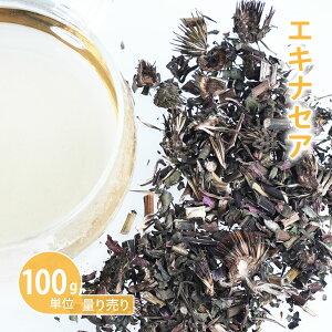 GLiZA[ 100gP n[uʂ蔄 ]@iTLoMN _ _sgp n[ueB[ hCn[u VO  eB[ ԕ  oX  mJtFC Y _򌟍