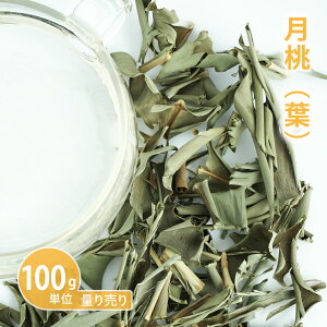  [t̂][ 100gP n[uʂ蔄 ]@in[ueB[ hCn[u VO  eB[  _ R͔|  mJtFC Y _򌟍 艻ϕi RX ϐj