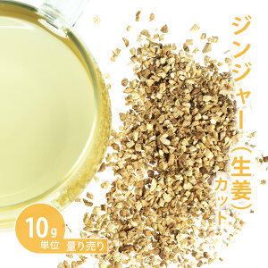 WW[ Jbg i VEK/傤/I j [ 10gP n[uʂ蔄 ]i n[ueB[ 傤 VEKI[ hCn[u  eB[  g Vbv R[fBA 