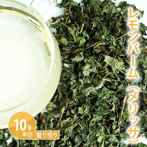 o[ [bT] [ 10gP n[uʂ蔄 ]@in[ueB[ hCn[u VO  eB[ Vbv R[fBAɂ    mJtFC Y _򌟍