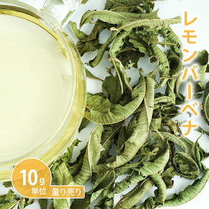 o[xi [/hL/xx[k] [ 10gP n[uʂ蔄 ]@in[ueB[ hCn[u VO  eB[ R[fBA  oX  mJtFC Y _򌟍