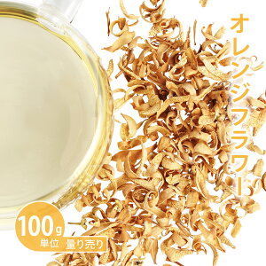 IWt[ [l] [ 100gP n[uʂ蔄 ]@ihCn[u n[ueB[ VO  艻ϕiɂ  mJtFC _򌟍ς v蔄 ͂肤j