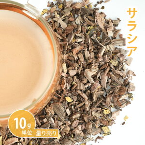 TVA [ 10gP n[uʂ蔄 ] in[ueB[ hCn[u VO  eB[ N  _CGbg  K mJtFC Y _򌟍ς v蔄 ͂肤jy