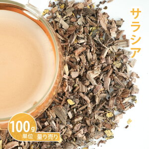 TVA [ 100gP n[uʂ蔄 ] in[ueB[ hCn[u VO  eB[ N  _CGbg  K mJtFC Y _򌟍ς v蔄 ͂肤jy